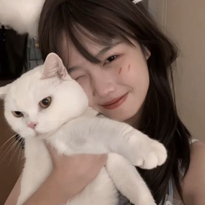 中华群英传手机版下载